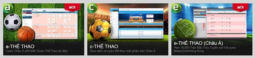 Sảnh w88 thể thao